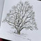Winter tree. Pioneers Park, Berwick, Victoria.