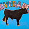 "NOVEDADES",  Acrylic, velvet, fabric, tar, 36 X 48 inch.   €  4,500