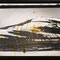 "From A Truck,  Mixed media, silver print, black & white photo # ,  canvas. 16 x 20 inch. 1996-2009. Framed       €   400