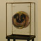 Ona B. object, 4 plexi discs, silk screen in metal frame