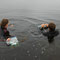 10,000 milfoil eating weevils purchased with a grant from the National Forest Service were planted in Big Cove. 