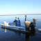 In June and August, Lake Mitchell was treated for hybrid milfoil. 