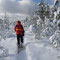 Snowshoeing near Little Cove.