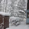 On Nov. 18 a foot of snow fell. It was the biggest snowfall of the season. 