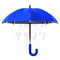 Blue Umbrella　青い傘