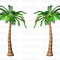 Tall Palm Trees On White Background　背の高い椰子の木　白背景付き