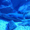 Aquarium in Banyuls-sur-Mer