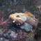 Aquarium in Canet-Plage