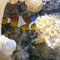 Aquarium in Canet-Plage