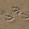 Empreintes sur le sables