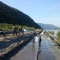 Tag 4; Aufräumarbeiten nach Donau - Hochwasser 2013 in Aggsbach Dorf 08.06.2013