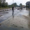 Aufräumarbeiten nach Donau - Hochwasser 2013 in Melk an der Donau 07.06.2013