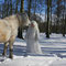 Fantasie & Wirklichkeit Fotografien und Gedichte Kathrin Steiger Winter Wald Märchenwald Schnee Schneefee  Fee Elfe Schneeprinzessin Pferd