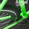 Dragonfly fixie. Prospettiva dall'alto della guarnitura. Spicca la pista frenante