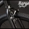 Fixed bike freni WILD BOY