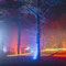 XMAS Lights 2024/25 (Münster)