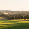 Alleen-Landschaft im Münsterland (Nottuln)