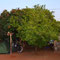 mein Zeltplatz bei Freunden in Tsumeb 