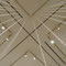 RainbirD-Transnational Version-
