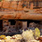600 Jahre alte Behausungen der Anasazi-Indianer