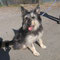 Lucy