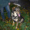 Milow