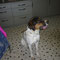 Bearny