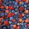 Blaubeeren, Preiselbeeren, Himbeeren, Walderdbeeren