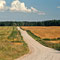 Straße zum nahegelegenen Podwerker See im Wald