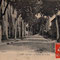 1909