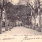 1903