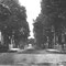 Av G. Clémenceau, 1953