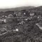 1964