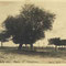 1908