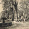1921