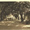 1950