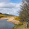 30th April: (AM) Walk to Pettico Wick Bay and St Abbs Head