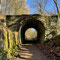 17th Jan: Beechenhurst, Forest of Dean