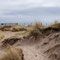 27th April: (AM) Ross Sands (between Holy Island and Bamburgh)