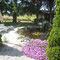 chalet "le bassin"
