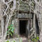 Ta Prohm in Angkor, Bild: cc-by-sa-3.0, commons.wikimedia.org, Diego Delso