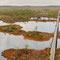 Männikjärve Moor in Estland, Bild: cc-by-sa-3.0, commons.wikimedia.org, Abrget47j