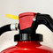 Bio Schaumlöscher, Bio Feuerlöscher, Bio Handfeuerlöscher, Bio Fluorfrei, biologisch abbaubar, umweltfreundlich, Feuerlöscherservice, Feuerlöscherkontrolle, Feuerlöscherwartung, Feuerlöscher, Schaumlöscher, Leichtwasser, Preis, Region Basel, Schweiz