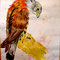 Adler (Wasserfarben/Aquarell auf Papier)