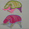 armadillos (油彩)
