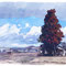 二本松の風景