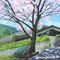 桜