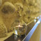 ...mit historischer Natursteinwand