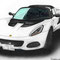 Lotus art painting