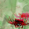 「曼珠沙華 壱」"Cluster amaryllis"　2011 Autumn